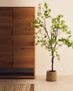Enkianthus – Obrázok 3
