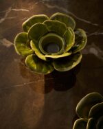 Ederia – Obrázok 2